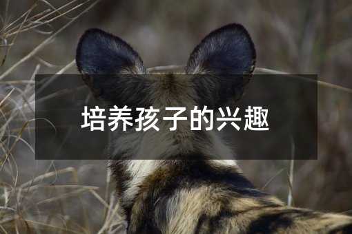 ���B(y��ng)���ӵ��dȤ