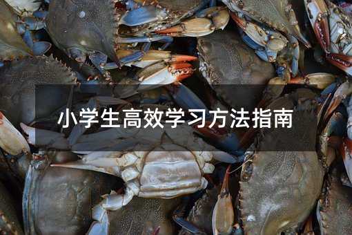 С�W(xu��)����Ч�W(xu��)��(x��)����ָ��