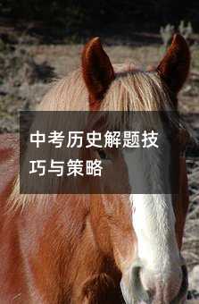 中考?xì)v史解題技巧與策略