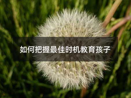 如何把握最佳時機教育孩子