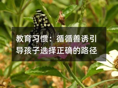 教育習(xí)慣:循循善誘引導(dǎo)孩子選擇正確的路徑