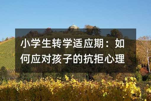 С�W(xu��)���D(zhu��n)�W(xu��)�m��(y��ng)�ڣ���Α�(y��ng)��(du��)���ӵĿ�������