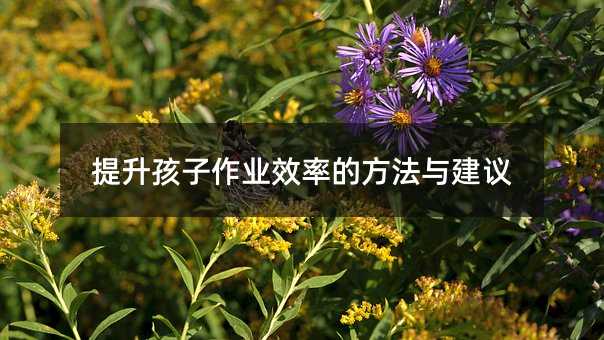提升孩子作業(yè)效率的方法與建議