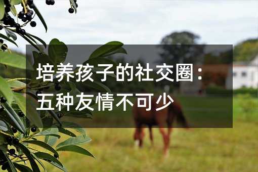 ���B���ӵ��罻Ȧ����N���鲻����