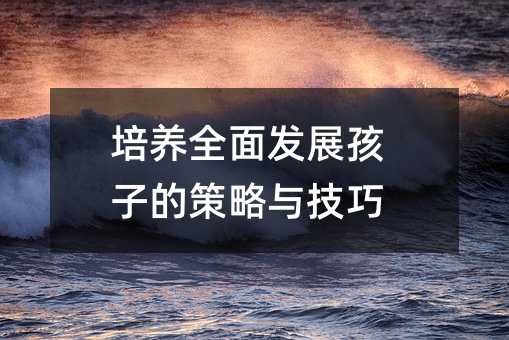 ���B(y��ng)ȫ��l(f��)չ���ӵĲ����c����