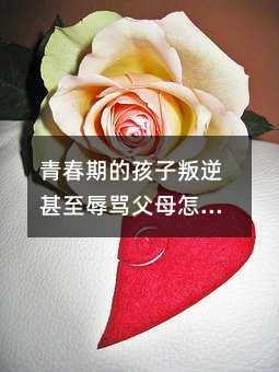 青春期的孩子叛逆甚至辱罵父母怎么辦呢