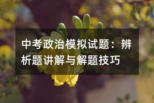 中考政治模擬試題:辨析題講解與解題技巧