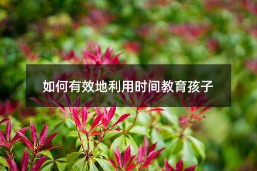 如何有效地利用時間教育孩子