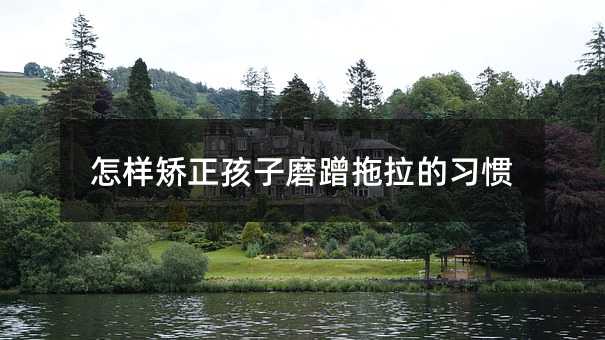 怎樣矯正孩子磨蹭拖拉的習(xí)慣