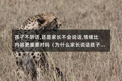 ���Ӳ� Ԓ,߀�Ǽ��L�����fԒ,��w�ȃ��ݸ���Ҫ���ᣨ��ʲô���L�fԒ���Ӳ� ��