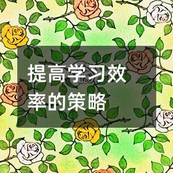 提高學習效率的策略
