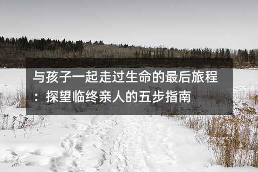 �c����һ�����^����������ọ́�̽���R�K�H�˵��岽ָ��