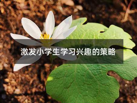 激發小學生學習興趣的策略