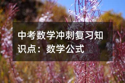 п(sh)W(xu)_̏(f)(x)֪Rc(din)(sh)W(xu)ʽ