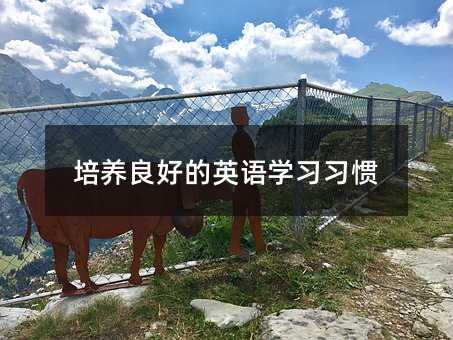 ���B(y��ng)���õ�Ӣ�Z�W�����T