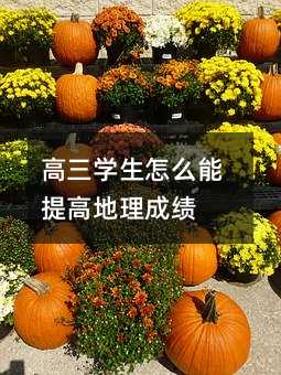 高三學生怎么能提高地理成績