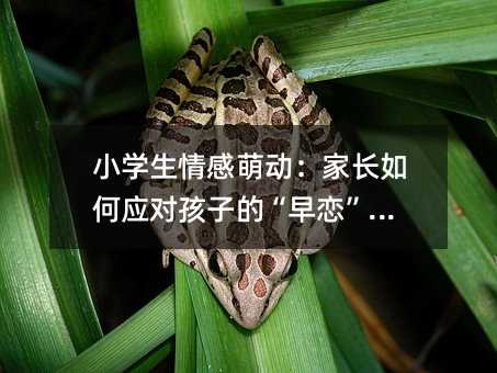 小學生情感萌動:家長如何應對孩子的“早戀”問題