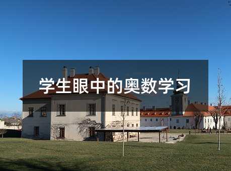 學生眼中的奧數學習