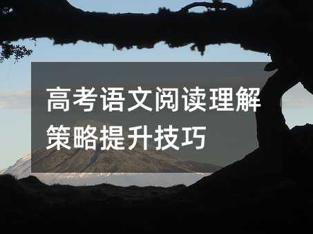 高考語文閱讀理解策略提升技巧