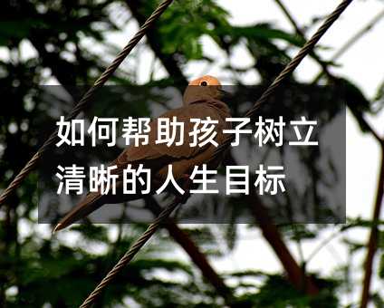 如何幫助孩子樹立清晰的人生目標