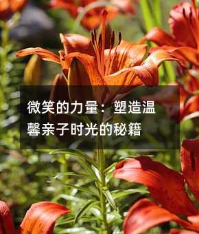 ΢Ц�������������ܰ�H�ӕr����ؼ�