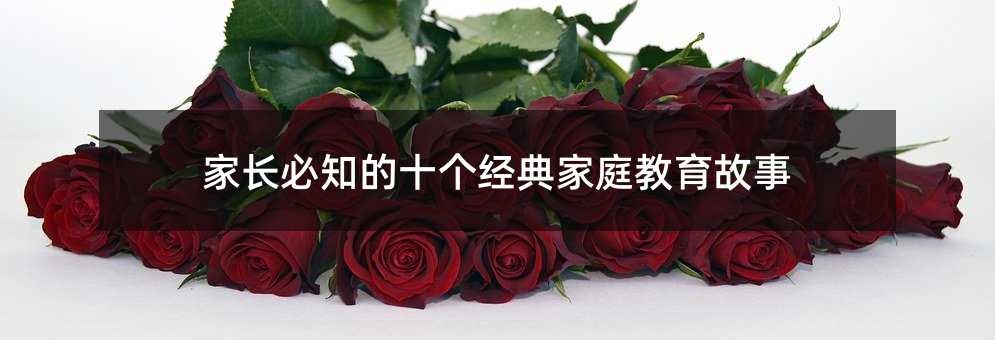 ���L��֪��ʮ�������ͥ��������