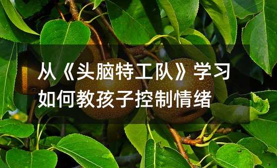 從《頭腦特工隊(duì)》學(xué)習(xí)如何教孩子控制情緒