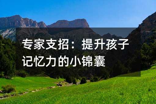 專家支招:提升孩子記憶力的小錦囊