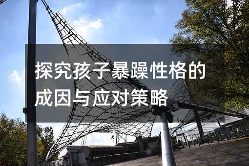探究孩子暴躁性格的成因與應對策略