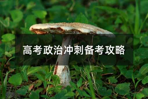 高考政治沖刺備考攻略