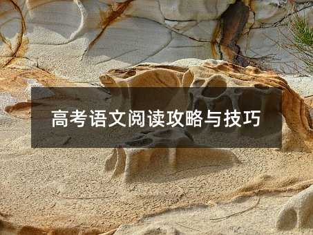 高考語(yǔ)文閱讀攻略與技巧
