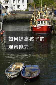 如何提高孩子的觀察能力
