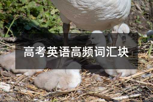 高考英語高頻詞匯塊