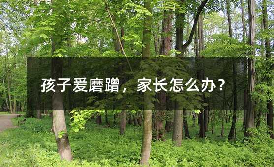 孩子愛磨蹭,家長怎么辦?