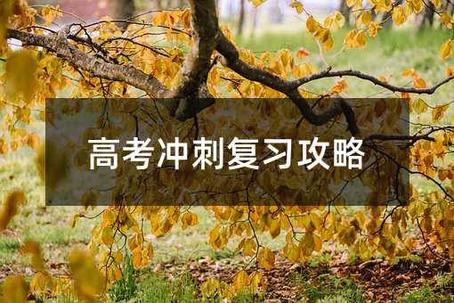高考沖刺復習攻略