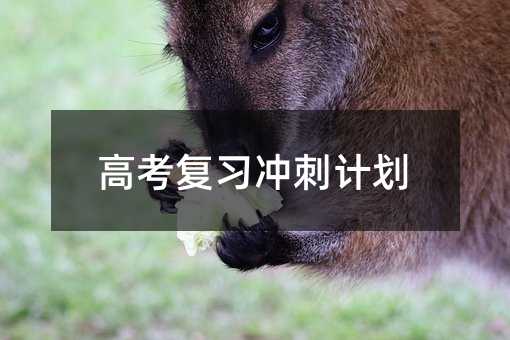 高考復(fù)習(xí)沖刺計劃