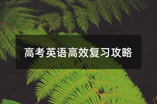 �߿�Ӣ�Z��Ч��(f��)��(x��)����