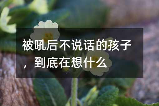 ������f(shu��)Ԓ�ĺ�������������ʲô