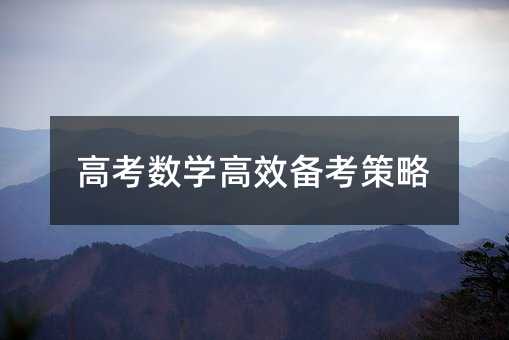 高考數(shù)學(xué)高效備考策略