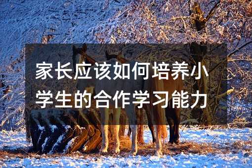 家長應該如何培養小學生的合作學習能力