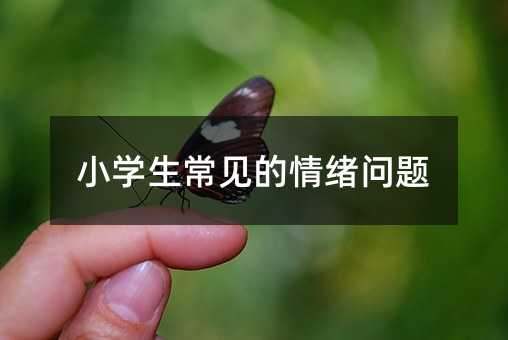 С�W����Ҋ����w���}