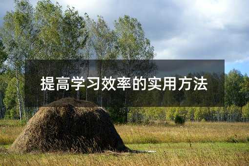 提高學習效率的實用方法