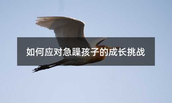 如何應對急躁孩子的成長挑戰