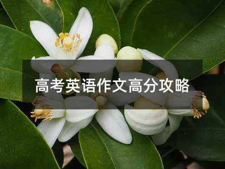 �߿�Ӣ�Z���ĸ߷ֹ���