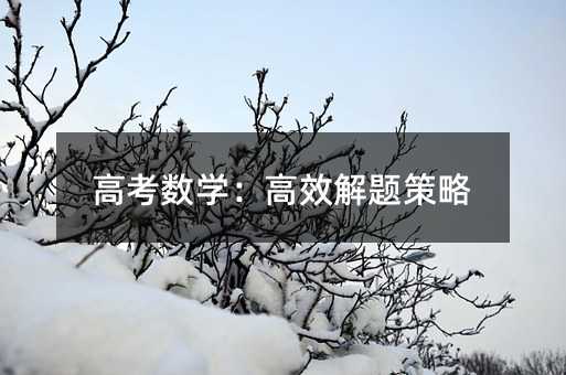 高考數學:高效解題策略