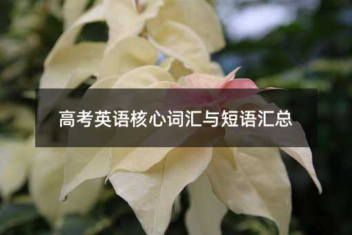 �߿�Ӣ�Z(y��)�����~�R�c���Z(y��)�R��