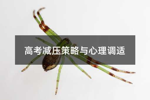 高考減壓策略與心理調適