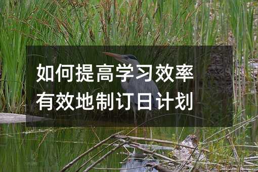 如何提高學習效率 有效地制訂日計劃
