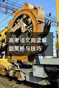 高考語文閱讀解題策略與技巧