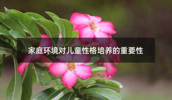 家庭環境對兒童性格培養的重要性